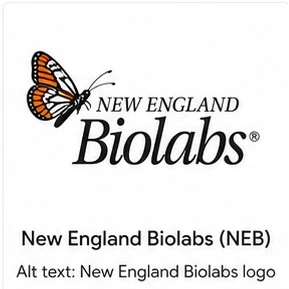 New England Biolabs (NEB)